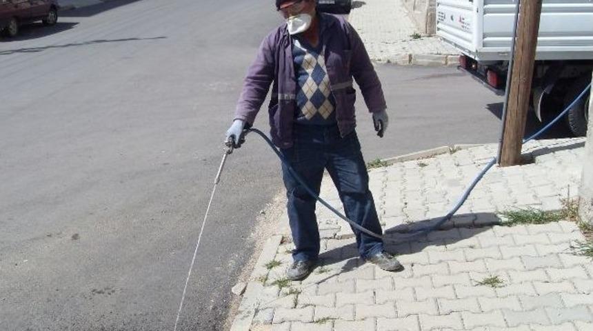 Karaman Belediyesi Haşere İle M&uuml;cadeleye Başladı