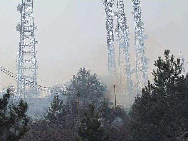 Kastamonu’da Orman Yangını