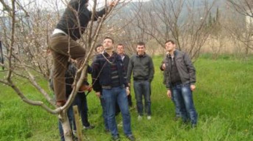 S&ouml;ke TAYEM'de Eğitim G&ouml;ren 'gen&ccedil; &Ccedil;ift&ccedil;iler' Sertifika Aldı