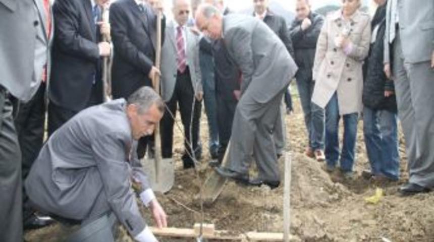 Vali Harput Kestane Fidanı Dikti