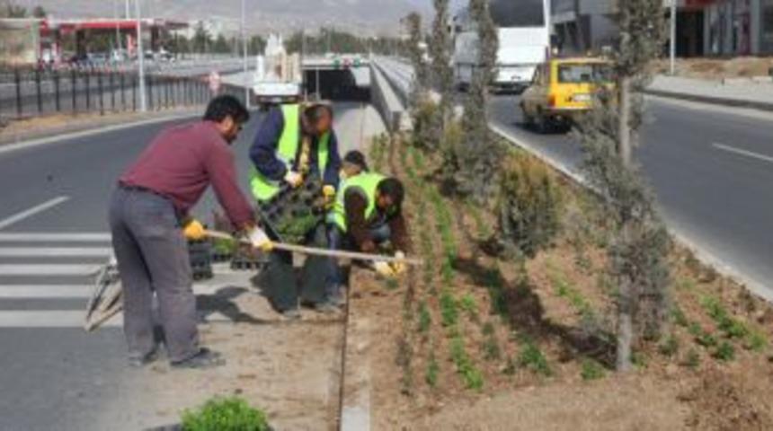 Elazığ &Ccedil;i&ccedil;eklerle S&uuml;sleniyor