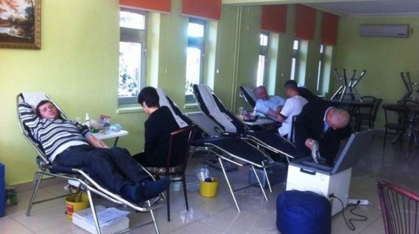 Kargı'da 208 &Uuml;nite Kan Toplandı