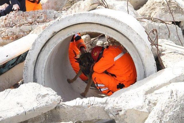 Van’da Deprem Tatbikatı