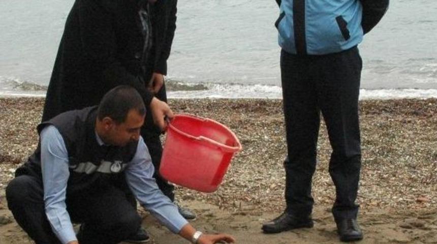 Caretta Carettalara Adrenalin İğnesi