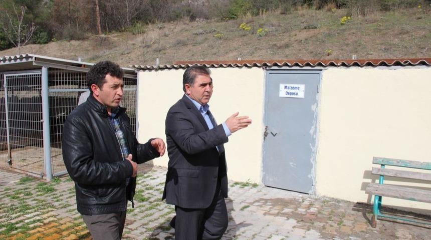 Başkan &Ouml;zdemir: Hayvanseverler Barınaktan Hayvan Alabilir