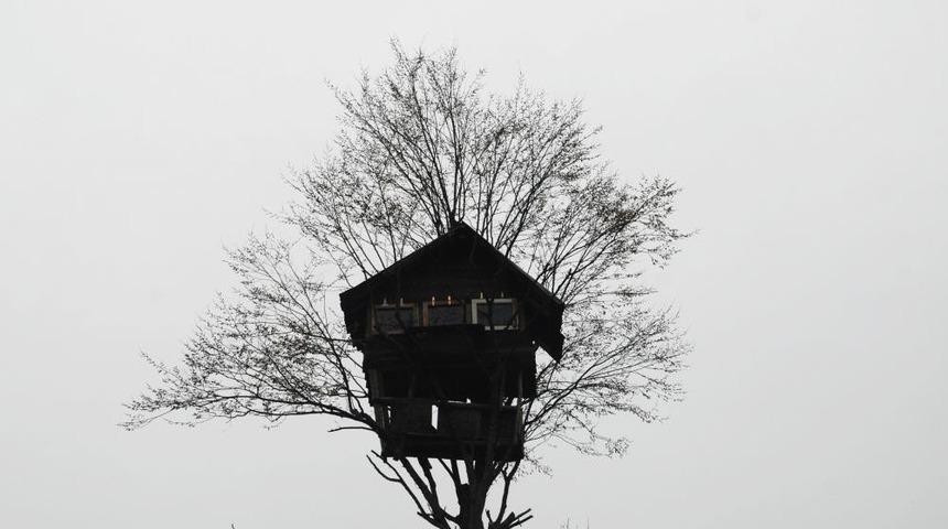 Rizeli 3 Kafadar Ağacın Zirvesine Yaptığı Evde Vakit Ge&ccedil;iriyor