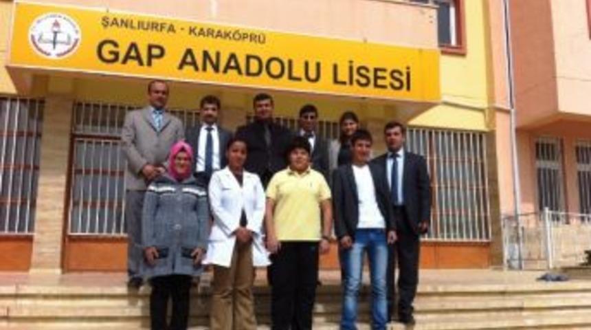 Gap Anadolu Lisesi İngiltere Yolcusu