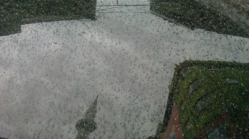 Zonguldak&rsquo;a &Ccedil;amur Yağdı