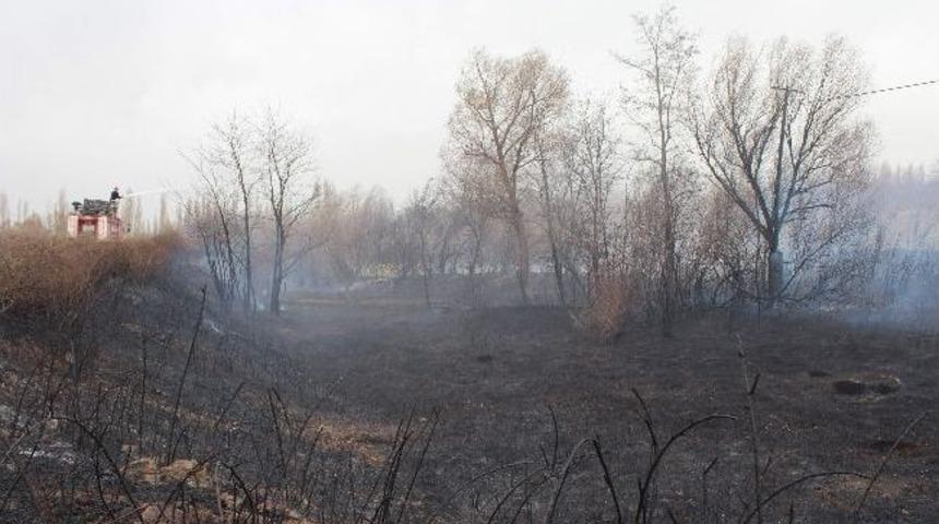 Beyşehir'de Ağaçlık Alanda Yangın