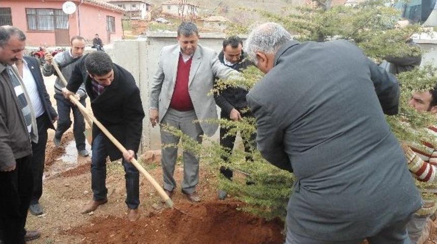 Sulakyurt&rsquo;ta Ağa&ccedil;landırma &Ccedil;alışmaları