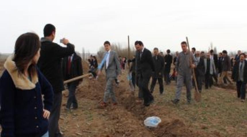 Ceviz Ve Badem Ağa&ccedil;larının Geliri &Ouml;ğrencilere Burs Olarak Dağıtılacak