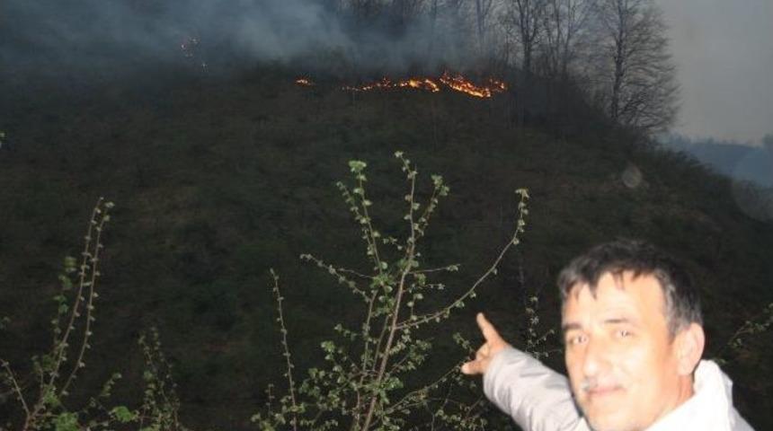 Giresun&rsquo;da Orman Yangını