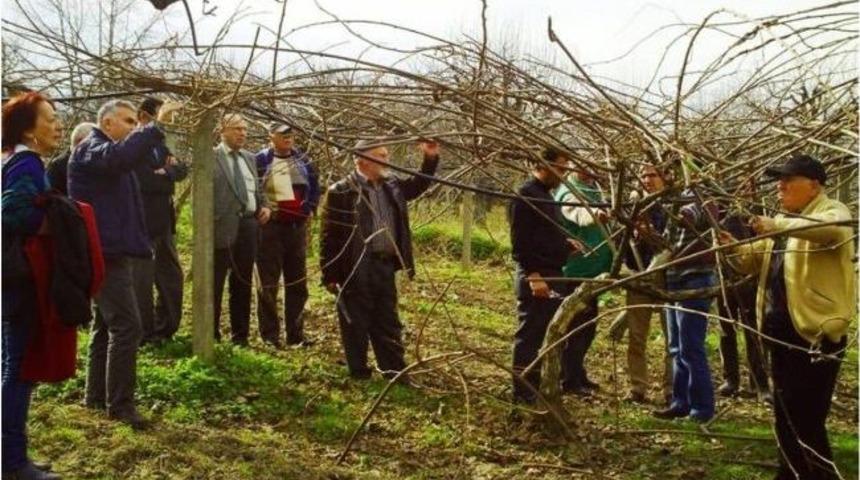Sapanca İl&ccedil;esinde "kivi Yetiştiriciliği" Eğitimi D&uuml;zenlendi