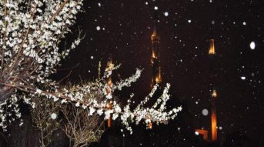 Edirne'de Kar Yağışı