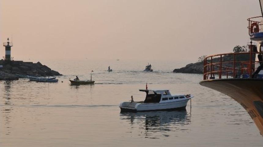 Ak&ccedil;akoca Balık&ccedil;ı Barınağında Batı Mendireği İ&ccedil;in Teknik &Ccedil;alışma Başlatıldı