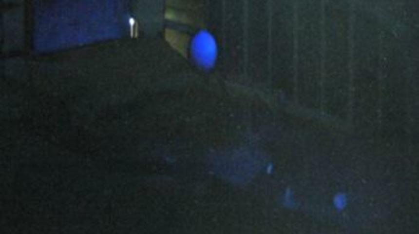 Tombalacılar, 500 Kiloluk &Ccedil;elik Kapıyla Korunuyor, Balonla Kumar Cihazı U&ccedil;uruyor