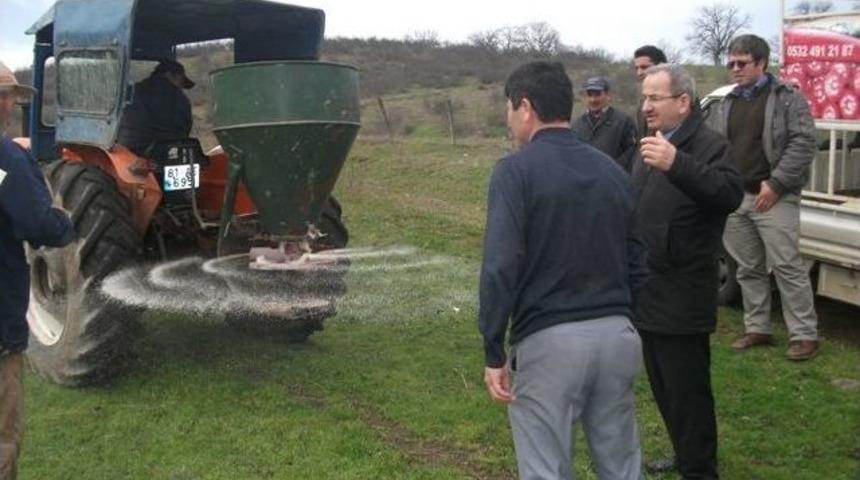 G&uuml;m&uuml;şova&rsquo;da Meralar Islah Ediliyor
