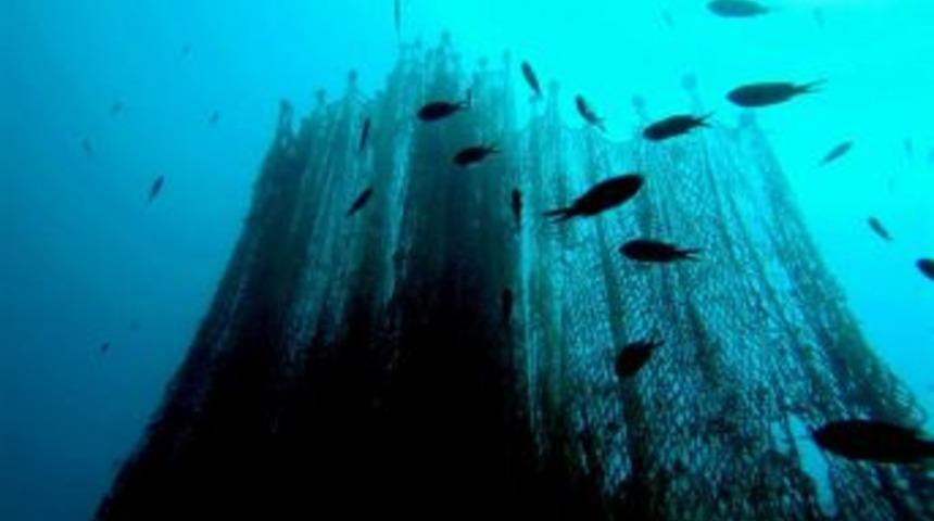 'Hayalet Ağ Avcıları' Işbaşında