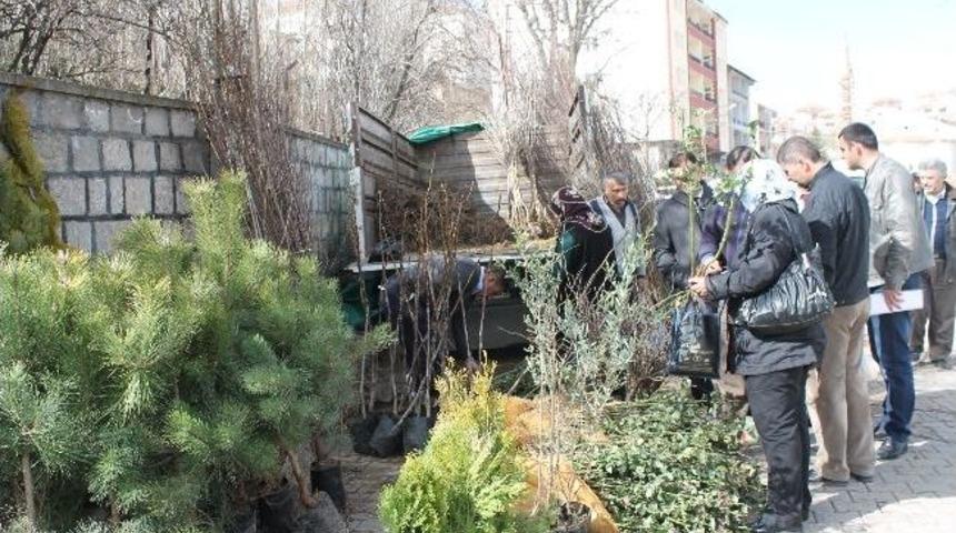 Akdağmadeni İl&ccedil;esinde Fidanlar Pazarda Yerini Aldı