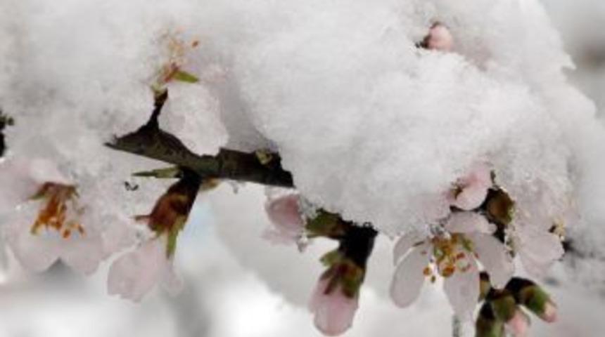 Kar Edirne'den Yine Giriş Yaptı