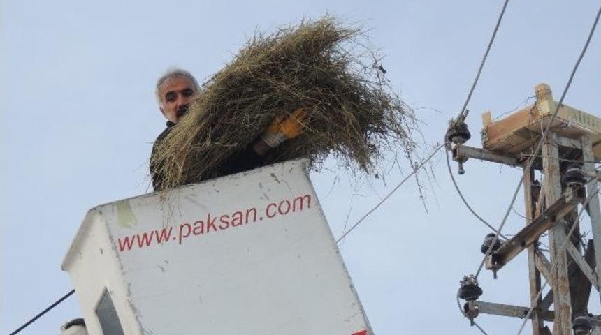 K&ouml;yl&uuml;lerin Leylek Aşkı