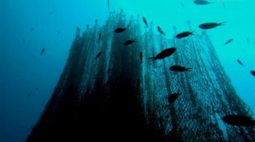 Hayalet Ağ Avcıları İş Başında