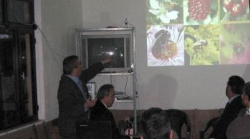 Marmaris&rsquo;te Arıcılara Gece Eğitimi Veriliyor