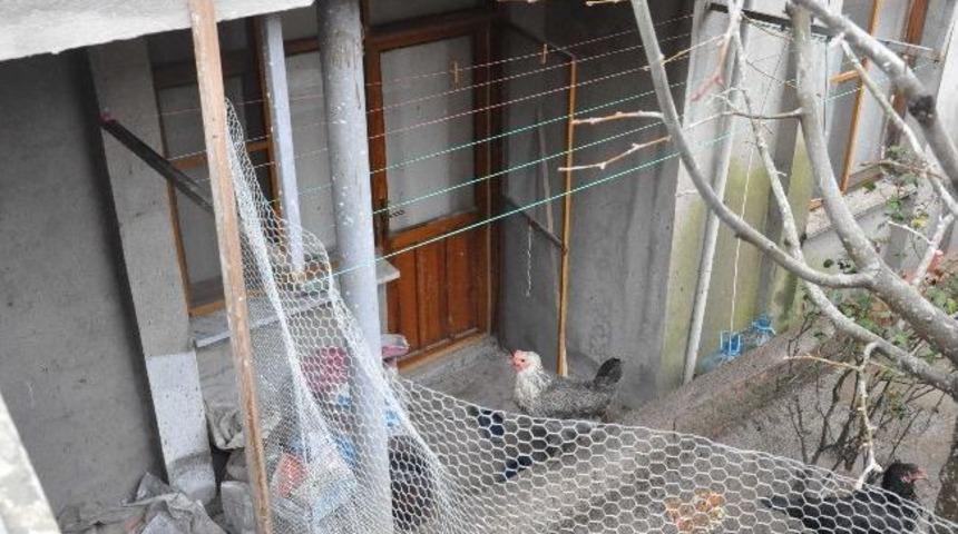 Balıkesir'de Ş&uuml;pheli &Ouml;l&uuml;m