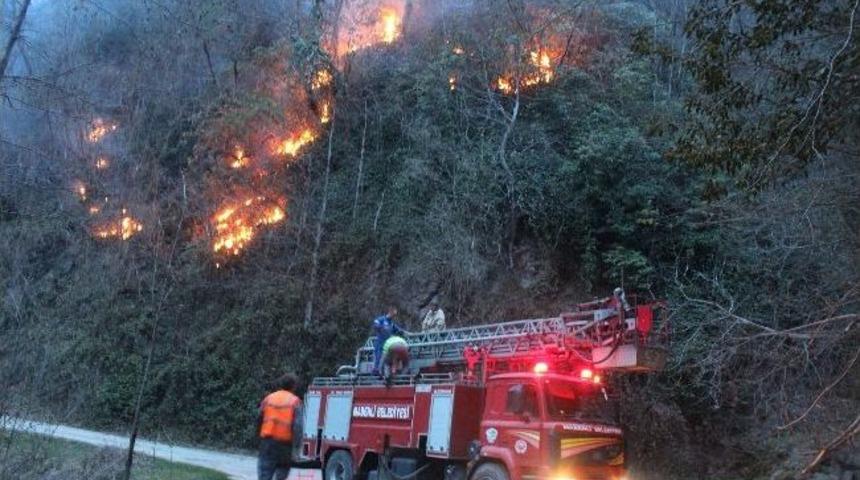Rize'nin &Ccedil;ayeli İl&ccedil;esinde &Ccedil;ıkan Yangında 30 D&ouml;n&uuml;m Alan Yanarak K&uuml;l Oldu