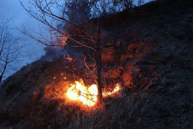 Rize'nin Çayeli İlçesinde Çıkan Yangında 30 Dönüm Alan Yanarak Kül Oldu