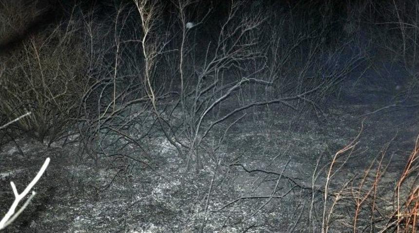 Yerk&ouml;y'de Sazlık Yandı, Vatandaşları Korkuttu