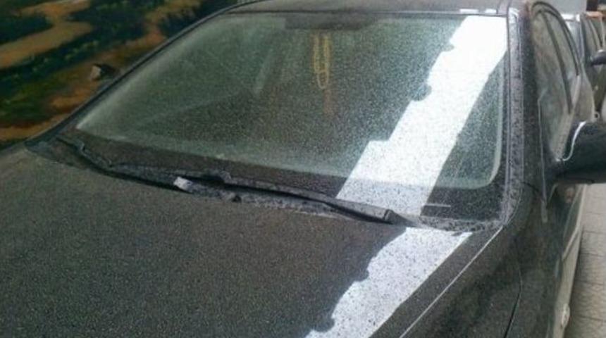 K&uuml;re&rsquo;ye &Ccedil;amur Yağdı