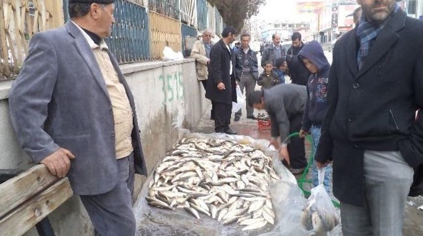 Varto’da Beyaz Ete Rağbet Arttı