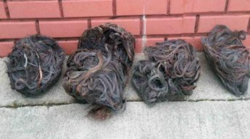 Kablo Hırsızlığı Yapan 4 Kişi Tutuklandı