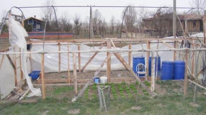 Seydiler&rsquo;de Şiddetli Fırtına Seraları Vurdu