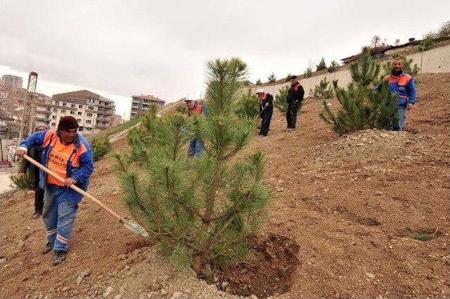 Mamak’ta Parklar Bahar İçin Hazırlanıyor