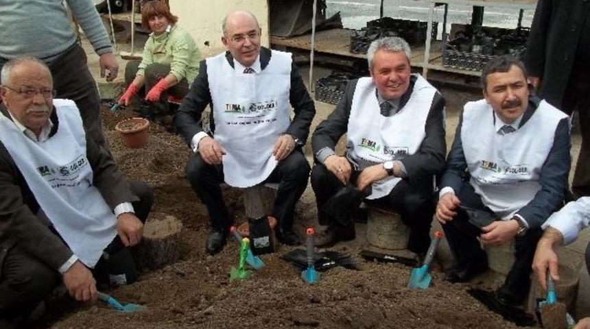 Mhp&rsquo;liler G&ouml;lbaşı&rsquo;nda Palamut T&uuml;pledi