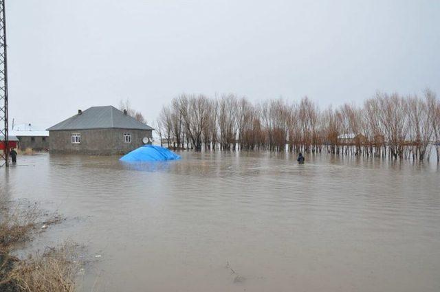 Patnos'ta Sel: Evler Sular Altında Kaldı