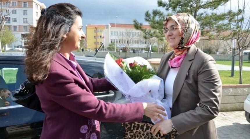 G&ouml;n&uuml;l El&ccedil;isi Projesi Saray&rsquo;da Tanıtıldı