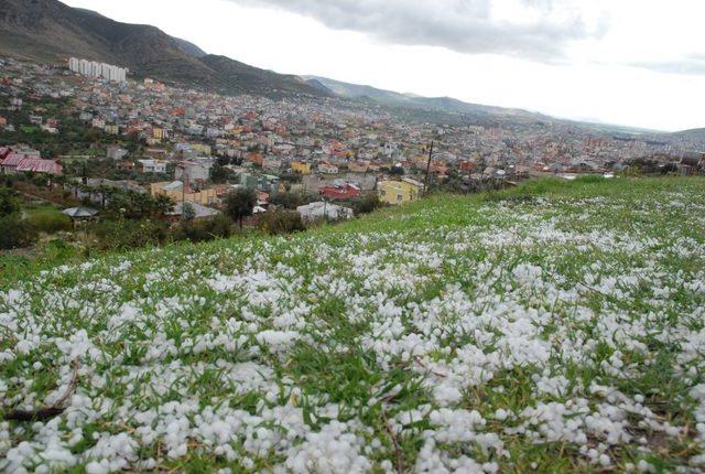 Kozan'da Dolu Yağışı Etkili Oldu