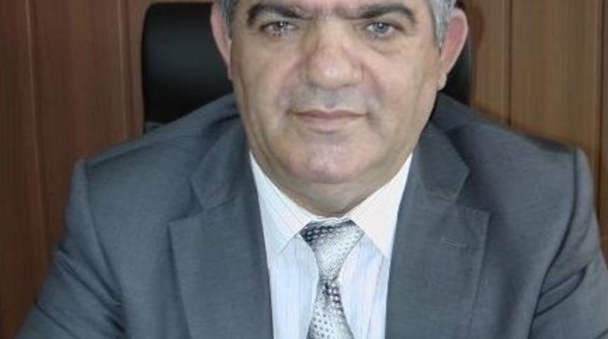 Hastalıklı Fideler İnceletiliyor