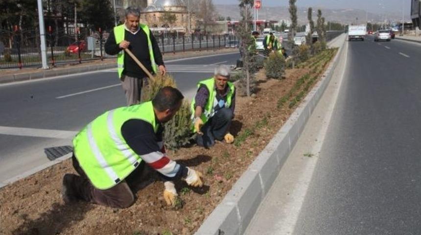 Elazığ &Ccedil;i&ccedil;eklerle S&uuml;sleniyor