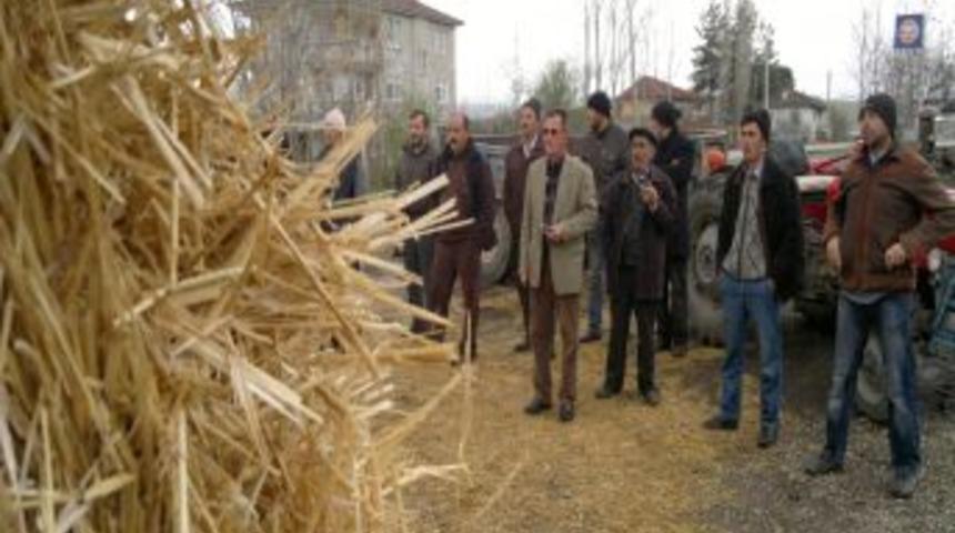 Besiciye, Saman Desteği