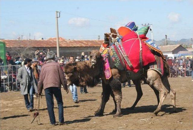 Devler Arenaya Sığmadı