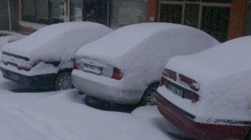 K&uuml;re Beyaza B&uuml;r&uuml;nd&uuml;