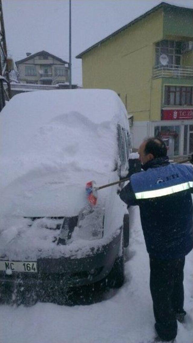 K&uuml;re Beyaza B&uuml;r&uuml;nd&uuml; 1