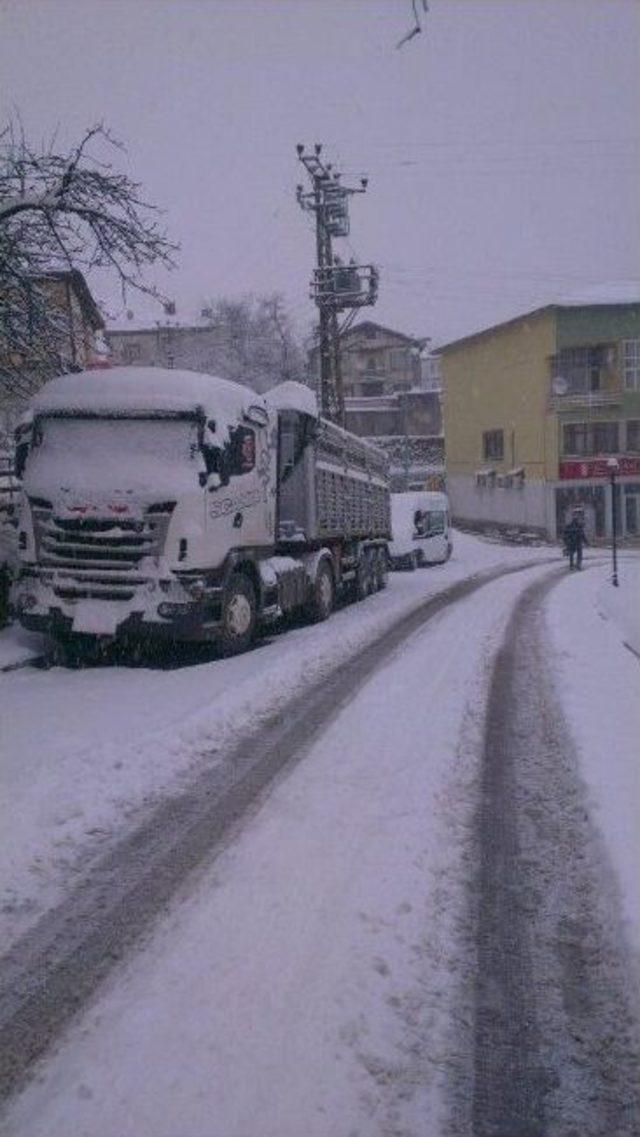 K&uuml;re Beyaza B&uuml;r&uuml;nd&uuml; 2