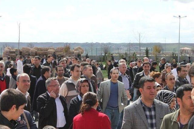 Diyarbakır'da Öğrenciler Eflatunlu Olmak İçin Yarıştı