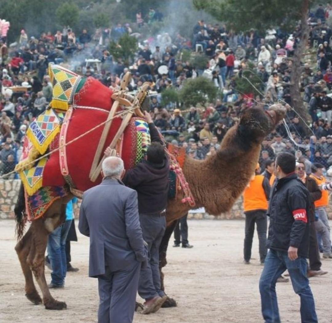 Devler Bodrum Arenasında Boy G&ouml;sterdi