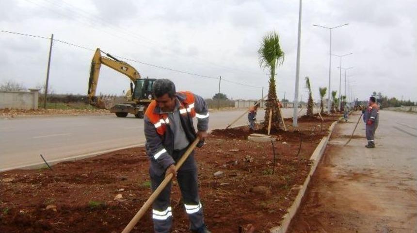 Orta Refujler Palmiye İle S&uuml;sleniyor